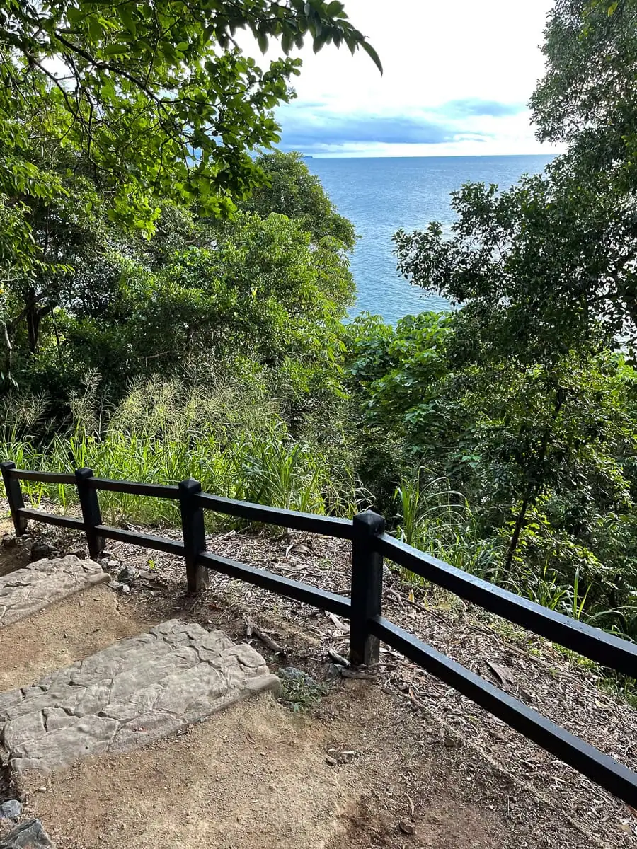 a step walkway with a railing, along lush green trees and the ocean in the back ground